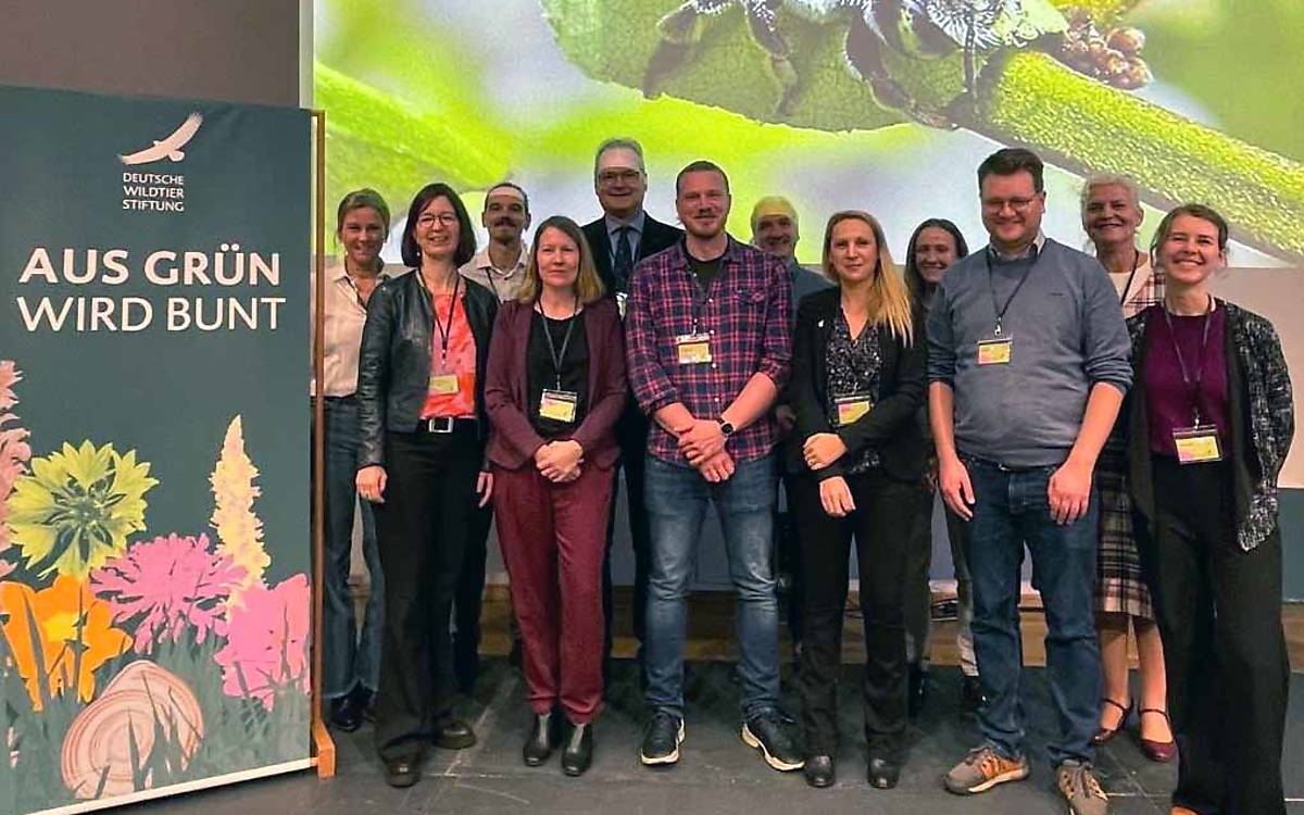 Für ein buntes Berlin: Inga Olfen (Kommunikationsleiterin Deutsche Wildtier Stiftung), Prof. Dr. Aletta Bonn (Landesbeauftragte für Naturschutz und Landschaftspflege des Landes Berlin), Tom Bluth (Naturschutz Deutsche Wildtier Stiftung), Sandra Naumann (Gruppenleitung Biologische Vielfalt, SenMVKU), Prof. Dr. Klaus Hackländer (Vorstand Deutsche Wildtier Stiftung), Manuel Hensen (Leitung Wildbienenteam Deutsche Wildtier Stiftung), Christian Lichtenau, Alice Kracht und Jette Michalski (alle drei Naturschutz Deutsche Wildtier Stiftung), Jonas Renk (Fachreferent, Kommunen für biologische Vielfalt e. V.), Barbara Geiger (Fräulein Brehms Tierleben) und Moderatorin Kristin Langen.