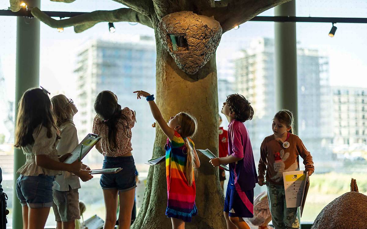 In der Ausstellung der Botschaft der Wildtiere