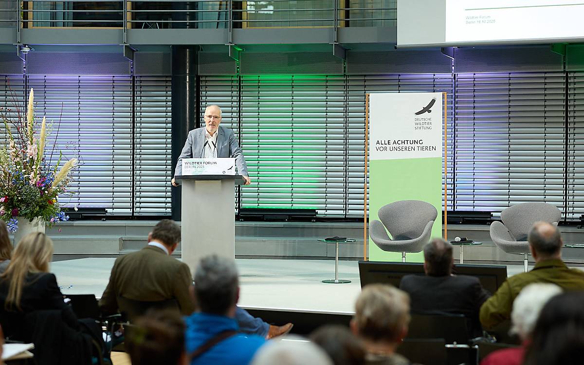 Dr. Matthias Schreiber hat im Auftrag der Deutschen Wildtier Stiftung untersucht, wie stark Greifvögel durch Windkraftanlagen in Vogelschutzgebieten betroffen sind. Auf dem Wildtier Forum stellte er seine Ergebnisse vor.