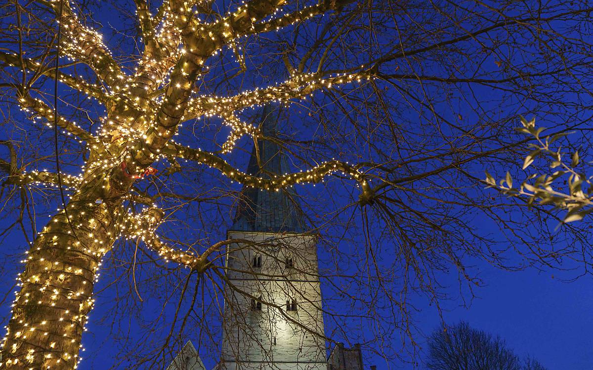 Ein Baum mit Lichterketten und ein Kirchturm bei Nacht im Münsterland