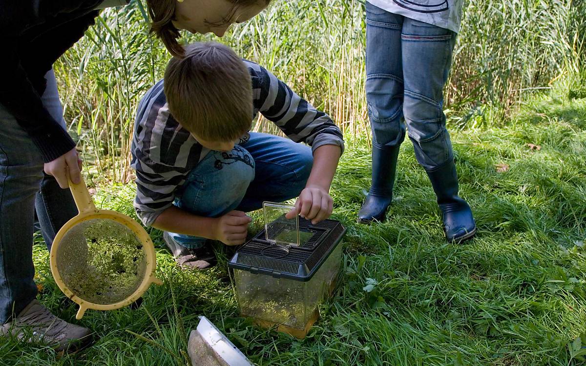 Entdecken und staunen: Naturbildungsangebote ermöglichen verschiedene Begegnungen mit der Tier- und Pflanzenwelt.