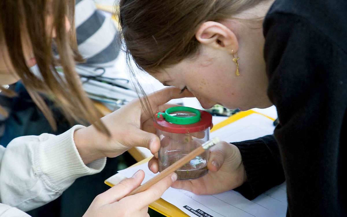 Genau hinschauen: Die jungen Naturforscher nehmen ihre Entdeckungen mit allen Sinnen wahr.