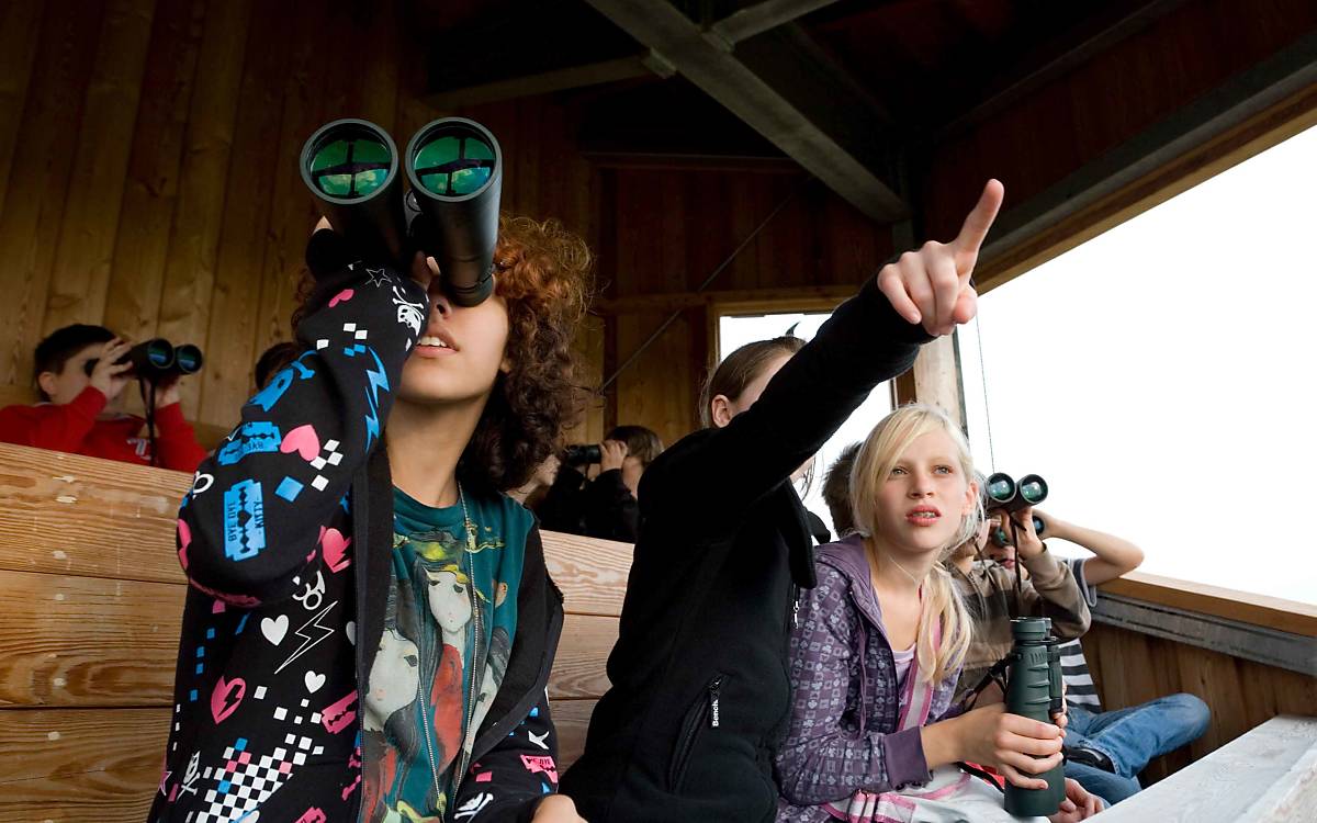 Kinder beobachten Wildtiere in der Natur