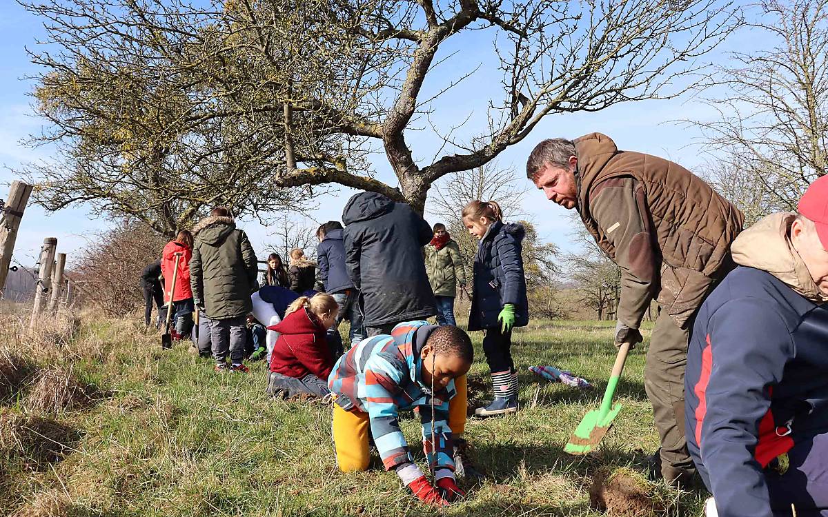 Naturerfahrungen fördern Sozialkompetenz und Achtsamkeit: Bei einer Baumpflanzaktion in Klepelshagen packen die Kinder gemeinsam an.