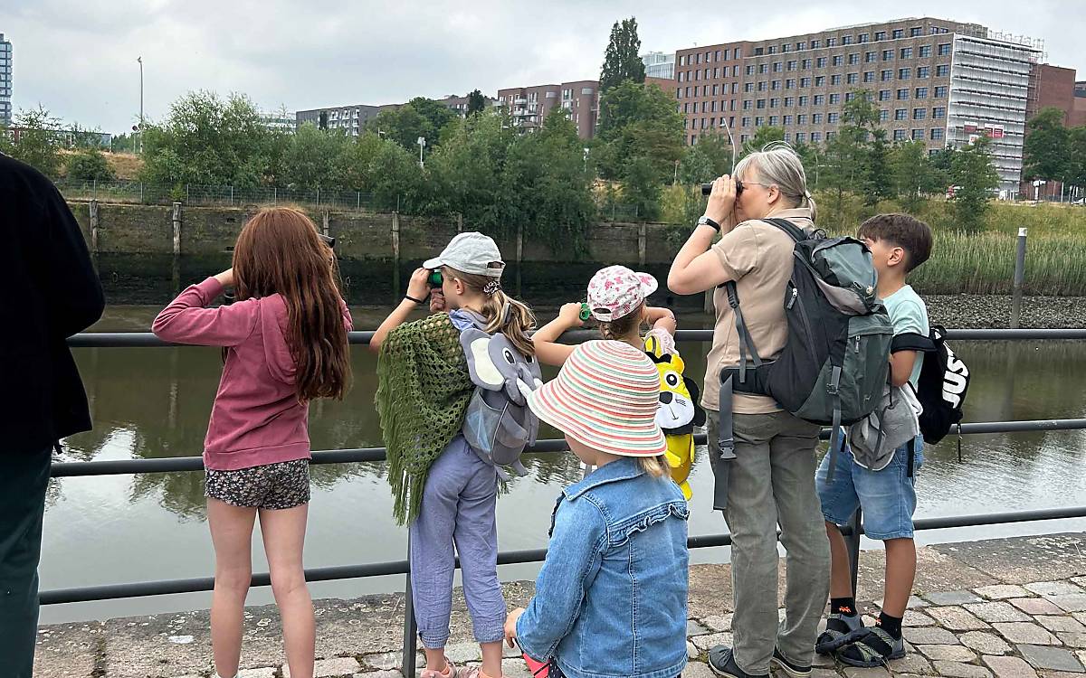 Natur ist überall: In der Hamburger Hafencity zeigt Naturpädagogin Christine Rückmann den Kindern, wo sich Spatzen wohlfühlen.
