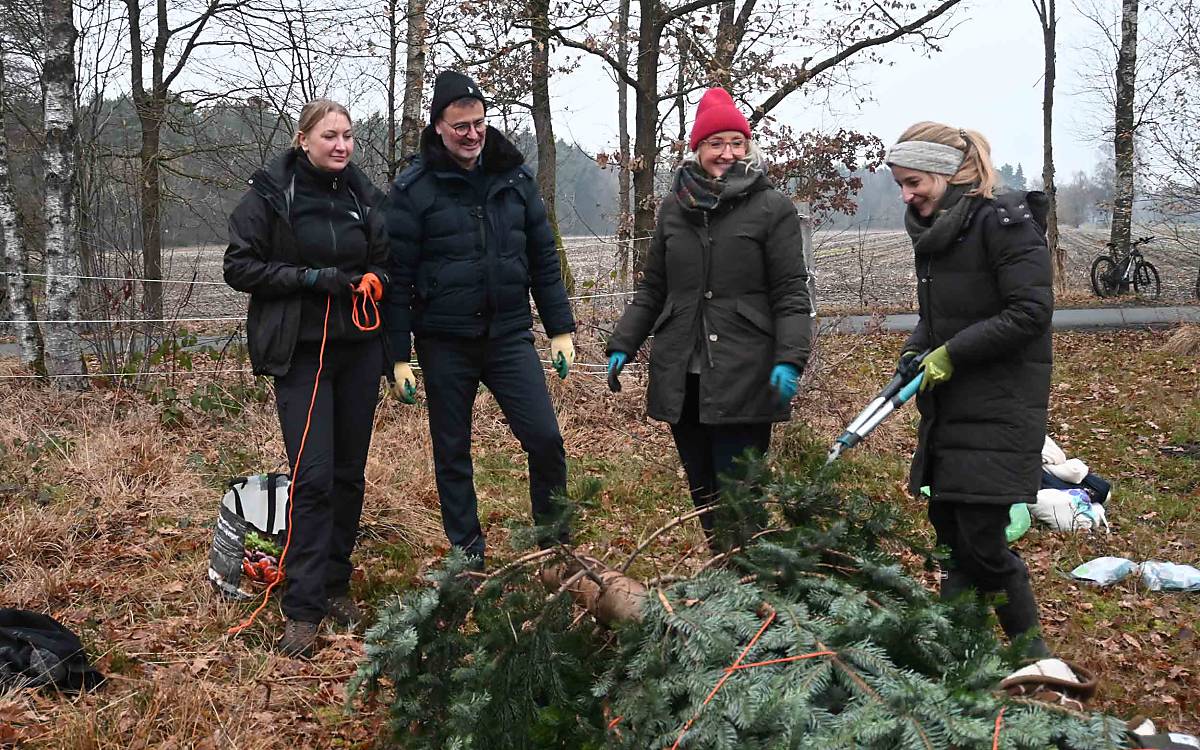 O Tannenbaum: Auch eine große Tanne trat – fest verschnürt – mit uns den Heimweg an. Jetzt ziert sie festlich geschmückt den Eingangsbereich der Botschaft der Wildtiere.