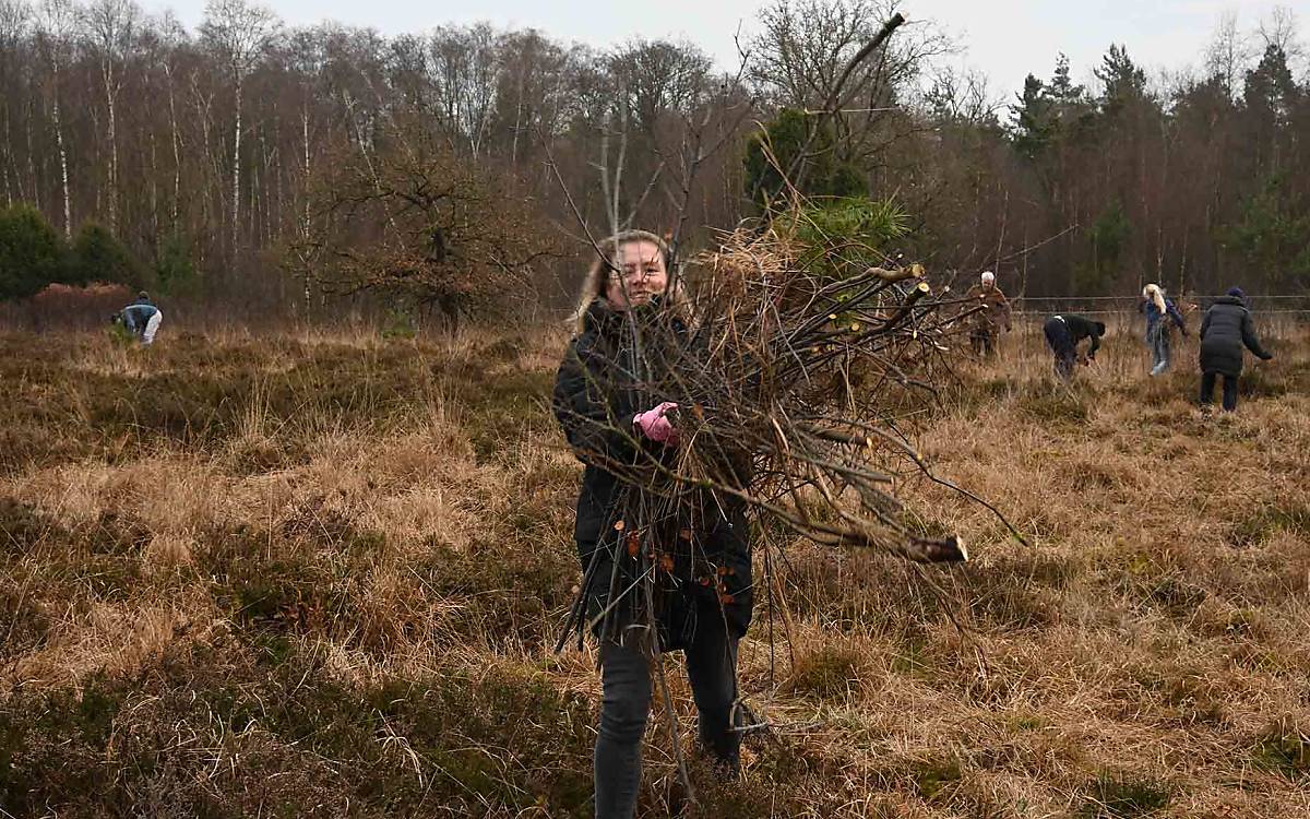 Mehr Raum für die Heide: Schritt für Schritt haben wir die Fläche entkusselt – also von kleinen Bäumen und Sträuchern befreit.