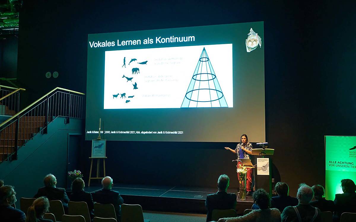 Vokales Lernen als Kontinuum? Das braucht ein bisschen Erklärung. Dr. Ahana Aurora Fernandez präsentiert im Anschluss an die Preisverleihung ihr Forschungsprojekt.
