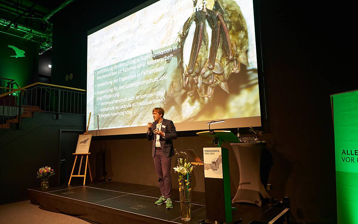 Zweite Perspektive: Auch Dr. Simon Ripperger, der Forschungspreisträger 2021, hat die Kommunikation von Fledermäusen untersucht. Im Vortrag berichtet er aus dem Projekt.