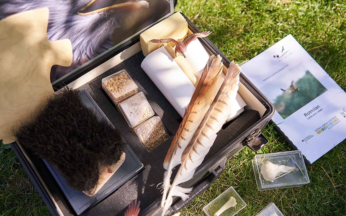 Im Rotmilankoffer gibt es jede Menge Lehrmaterial