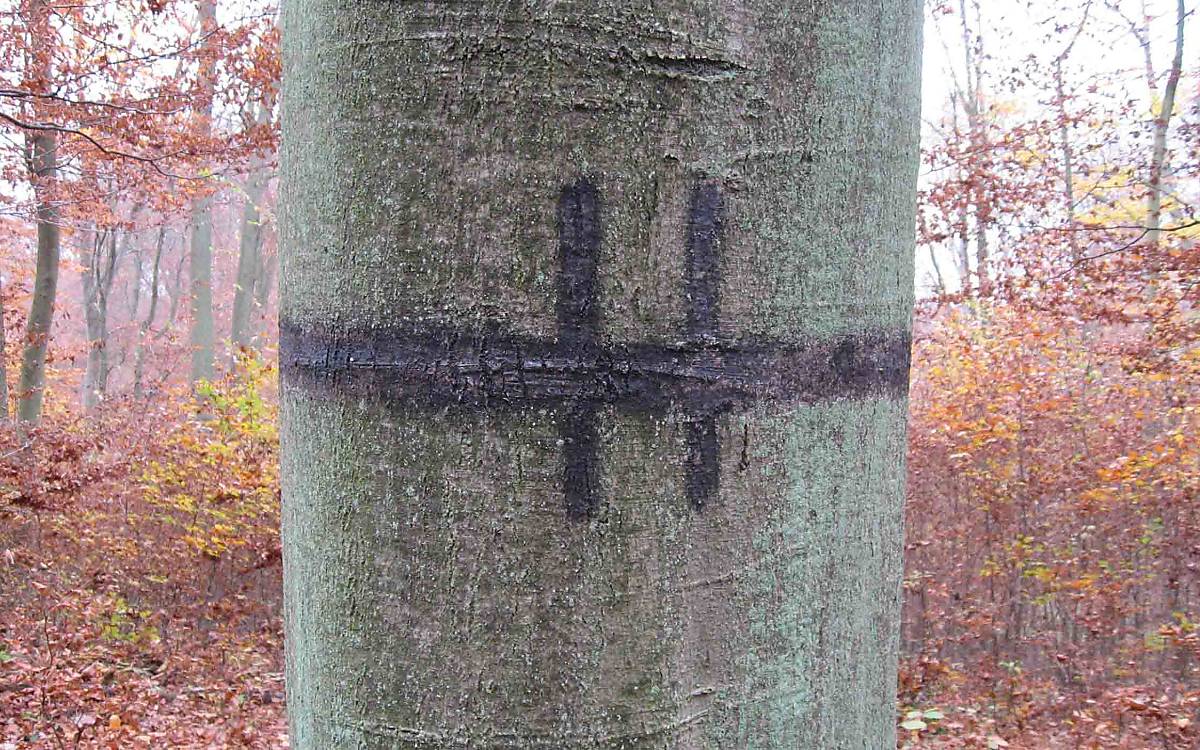 Hätten Sie’s gewusst? Diese Markierung für den Förster bedeutet: Ich darf stehen bleiben.