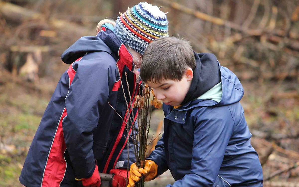Teamarbeit: Die jungen Pfadfinder packen gemeinsam an und helfen beim Waldumbau.