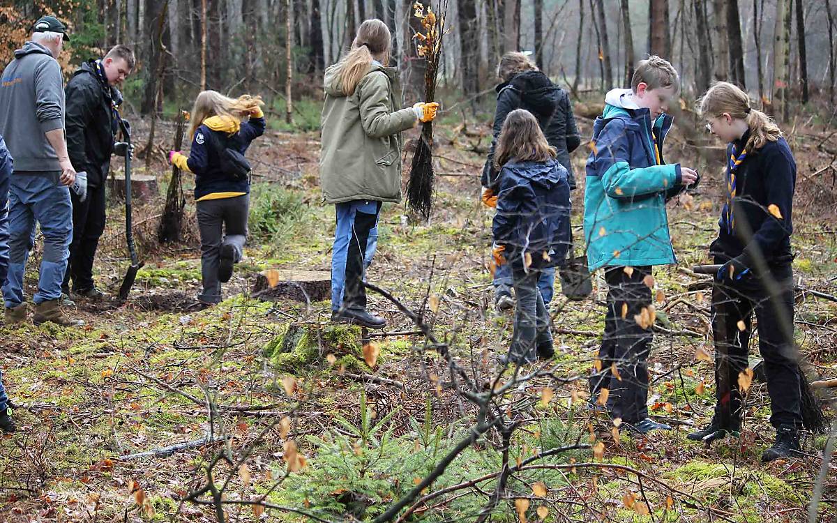 Viele helfende Hände: Gemeinsam schaffen es die Kinder der beiden Pfadfindergruppen, alle Setzlinge einzupflanzen.