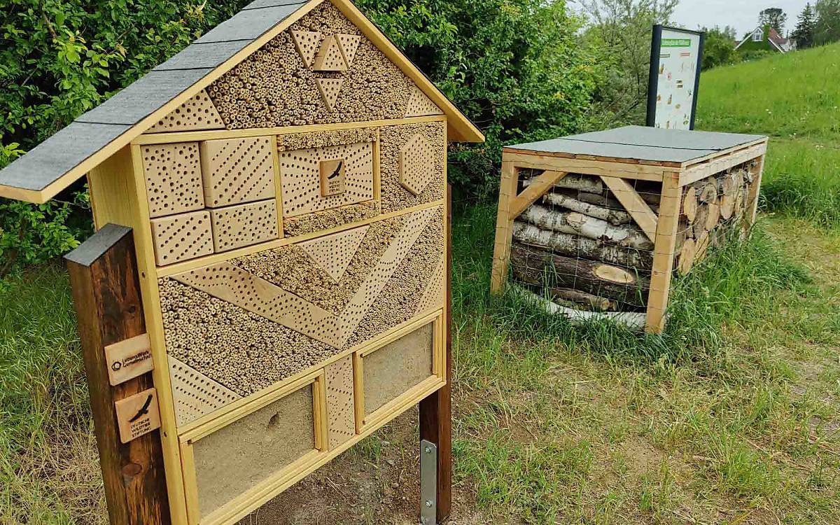 Zimmer frei in der Hauptstadt: In Berlin haben wir dieses geräumige Wildbienenhotel aufgestellt.