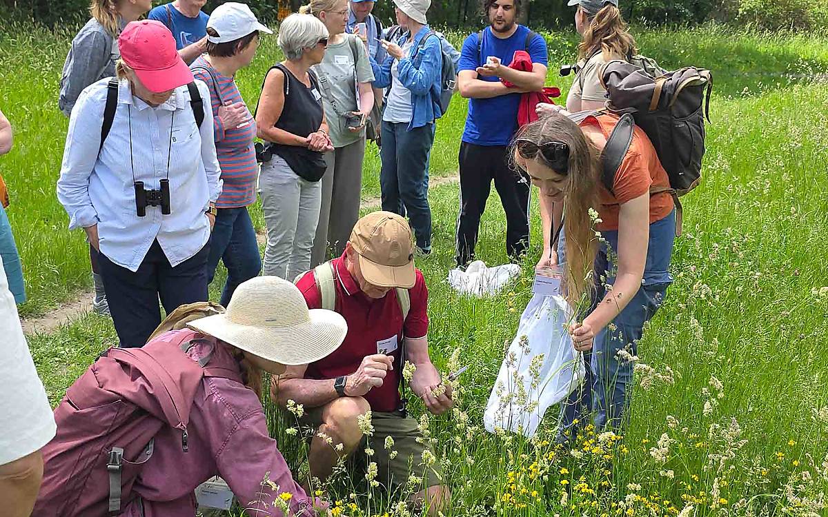 Der Anita-Berber-Park ist eine naturnahe Grünfläche direkt neben dem Tempelhofer Feld. Unter Anleitung der Expertinnen machten sich unsere Spenderinnen und Spender dort im hohen Gras auf die Suche nach Berliner Wildtieren.
