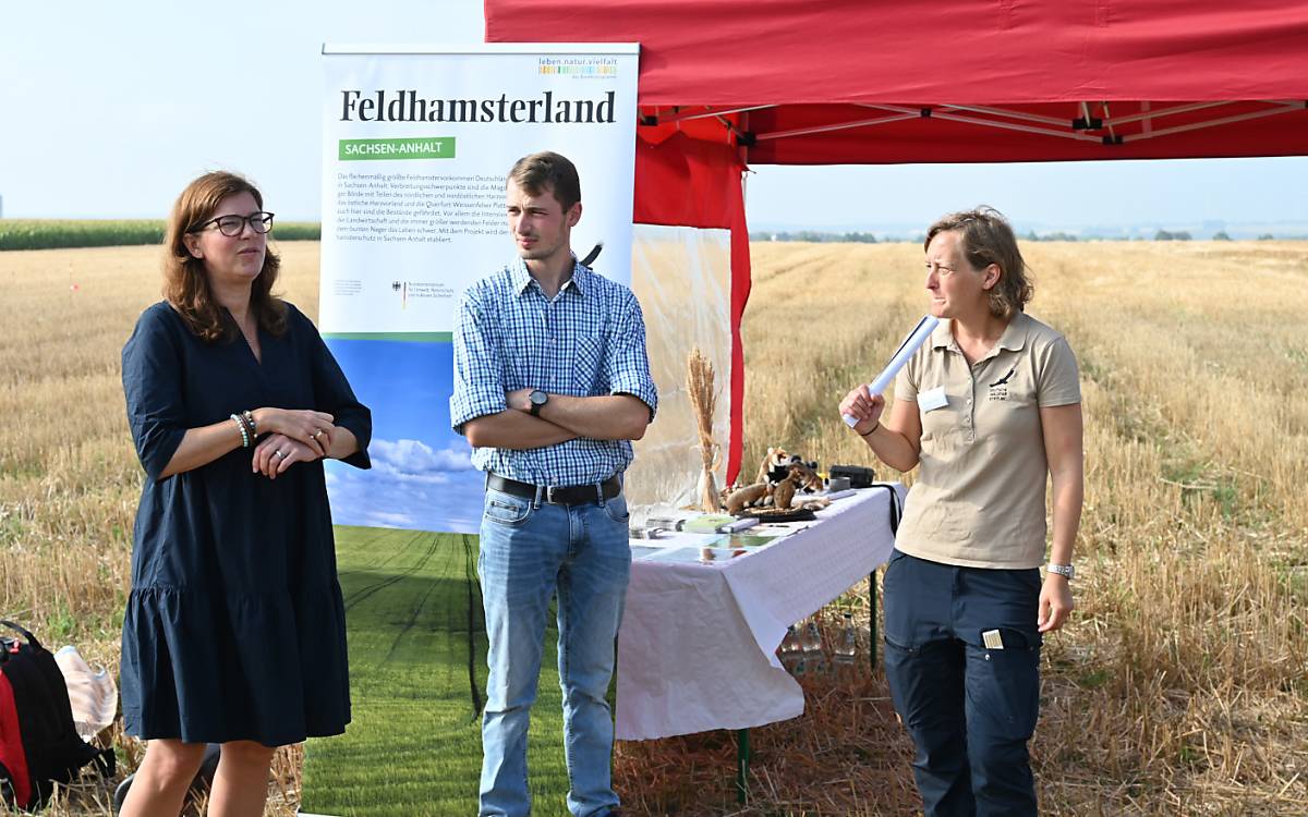 Dr. Ophelia Nick, Michael Müller, Dr. Saskia Jerosch