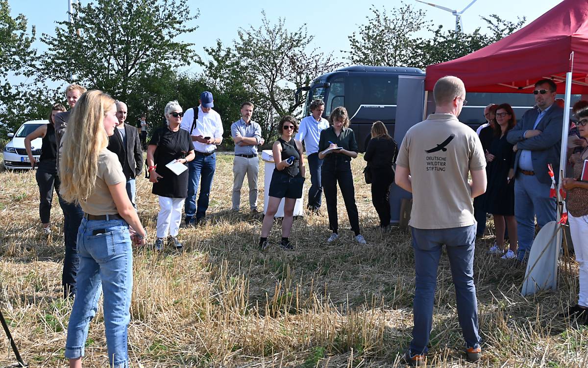 Großes Interesse am kleinen Feldhamster.