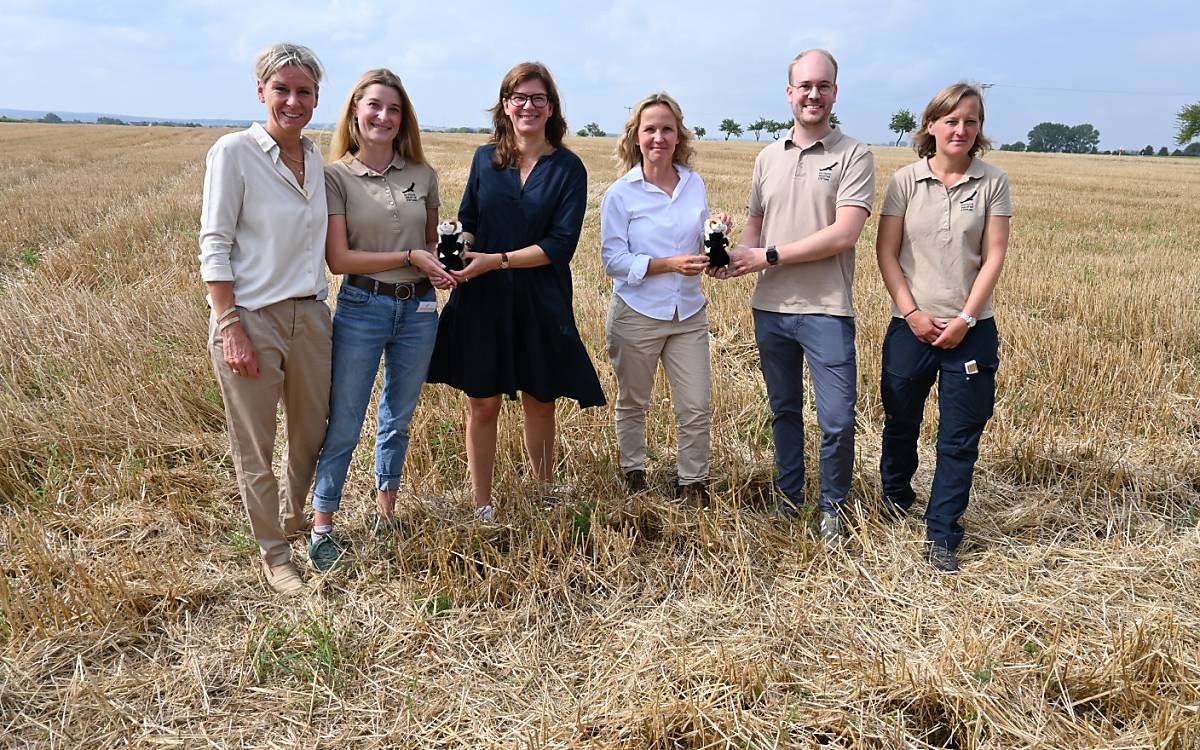 Landwirtschaft, Politik und Naturschutz arbeiten gemeinschaftlich für den Feldhamsterschutz.  vlnr: Inga Olfen, Pressesprecherin; Julia-Marie Battermann, Projektkoordination; Dr. Ophelia Nick, Parlamentarische Staatssekretärin im Bundeslandwirtschaftsministerium; Steffi Lemke, Bundesumweltministerin; Simon Hein, Projektleiter; Dr. Saskia Jerosch, Projektkoordinatorin Sachsen-Anhalt;