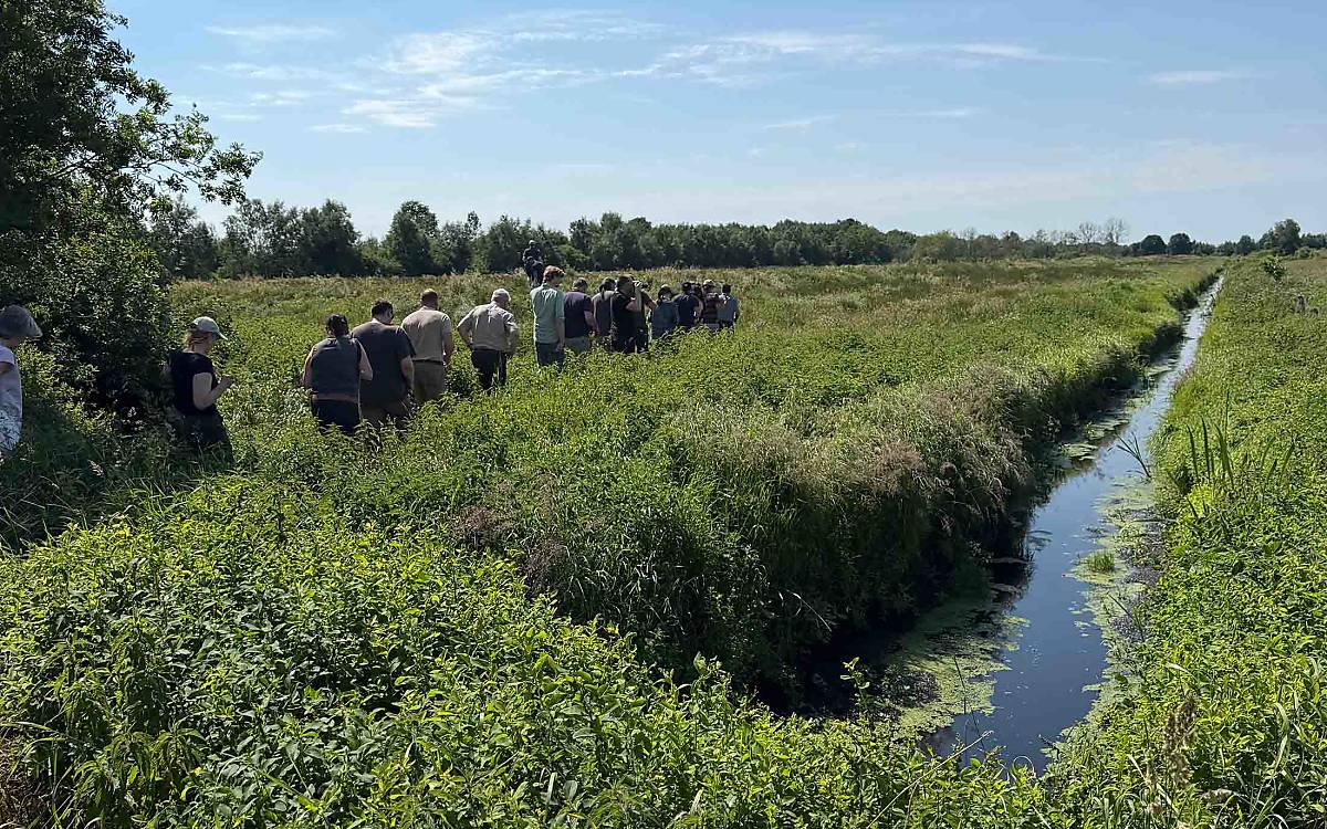 Die Eider-Treene-Sorge-Niederung in Schleswig-Holstein ist ein wertvoller Lebensraum – nicht mehr nur für Wiesenbrüter wie Brachvogel und Rotschenkel, sondern auch für den Rothirsch. Die Gäste des Rotwildsymposium erkundeten das Gebiet bei der abschließenden Exkursion.