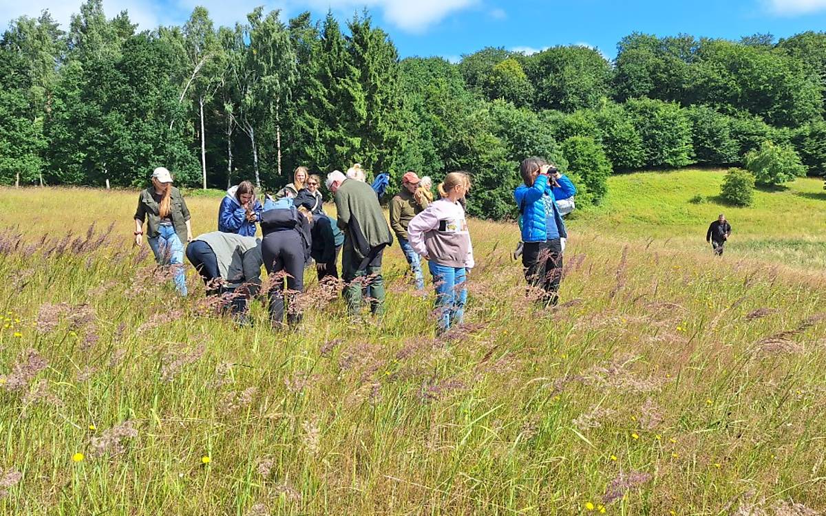 Naturbeobachtungen in Klepelshagen