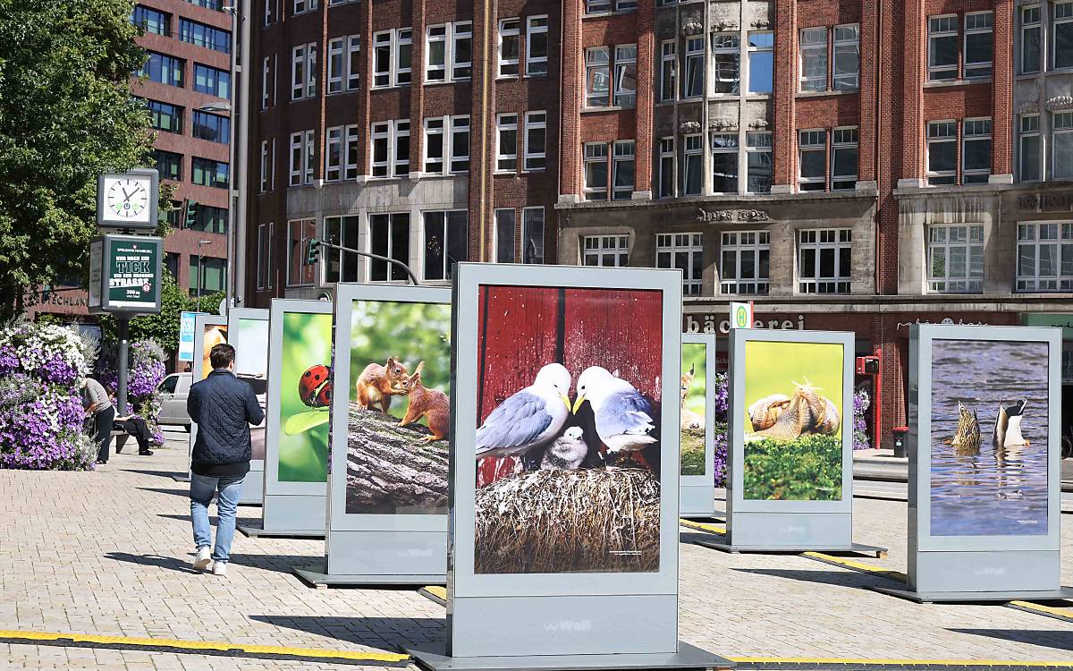 Fotogalerie zum Thema 