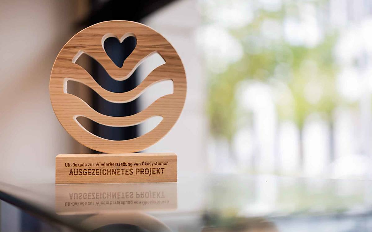 Wir freuen uns sehr über den Preis. Er ist für uns ein Ansporn: Wir werden uns weiter dafür einsetzen, dass Insekten und andere Wildtiere wieder mehr Lebensräume finden.