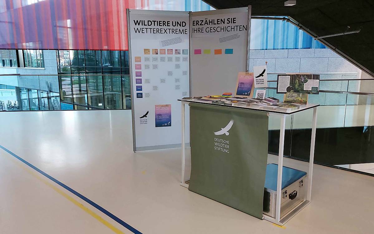 extremwetterkongress-stand-der-botschaft