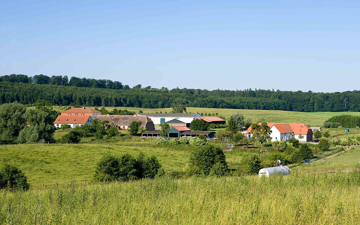 Gut Klepelshagen in Mecklenburg-Vorpommern