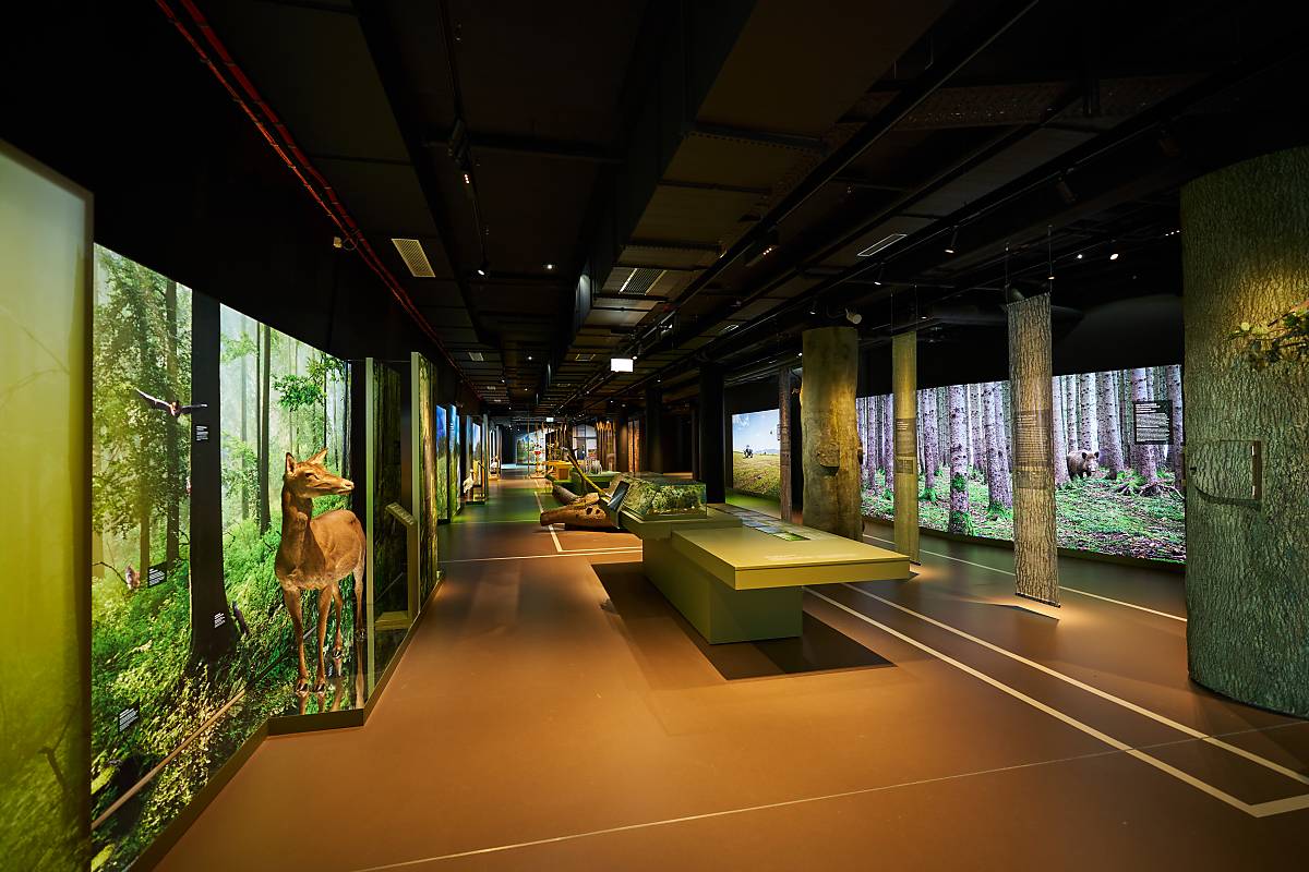 Im Warftgeschoss der Ausstellung spazieren Sie durch fünf unterschiedliche Lebensräume.