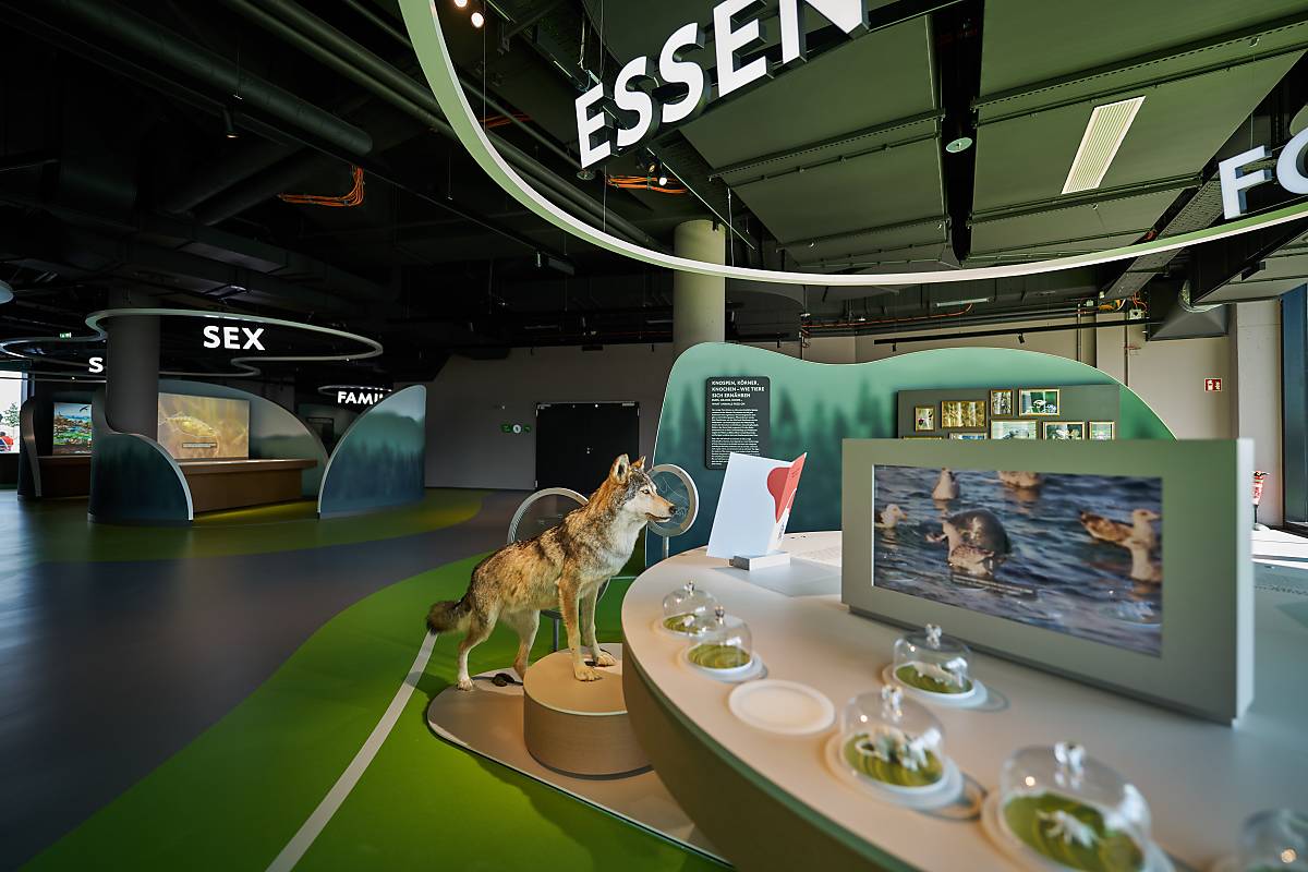 Themeninsel Essen: Mit Karnivoren, Herbivoren und Omnivoren an einem Tisch