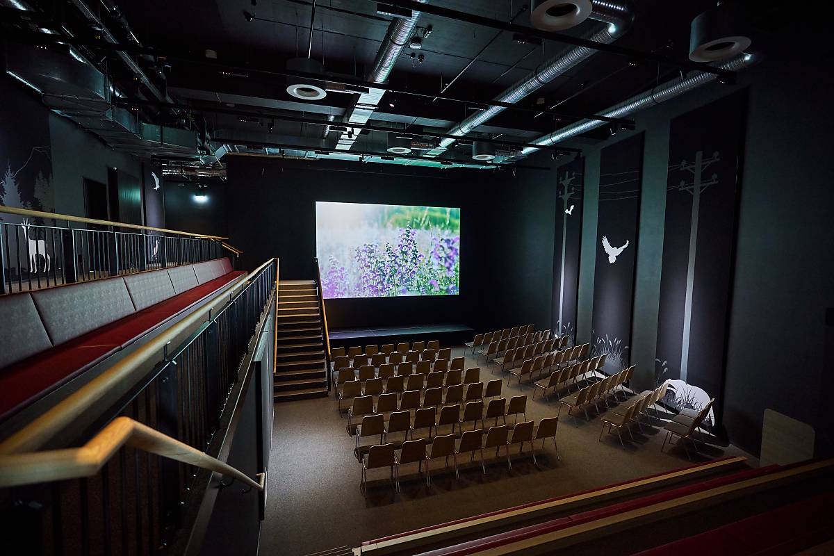 Deutschlands einzigartiges Naturfillmkino: Blick in den Kinosaal