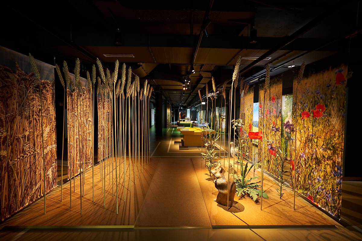 Warftgeschoss: Blick auf den Wildtier-Lebensraum Feld