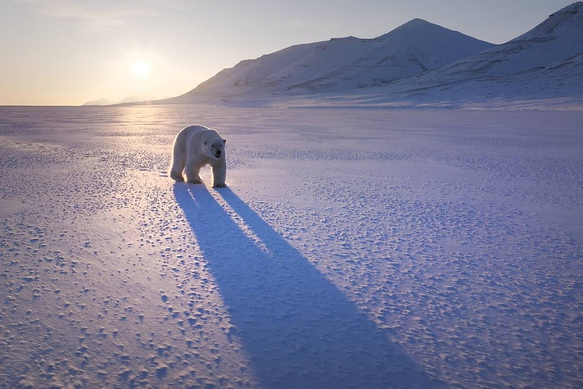 Naturfilmmittwoch 2026: Faszination Europa – Extreme Küste, ein Film von Christian Baumeister