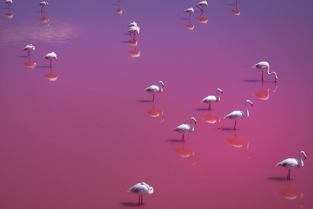 EWFA / Faszination Europa - Extreme Küste, ein Film von Christian Baumeister