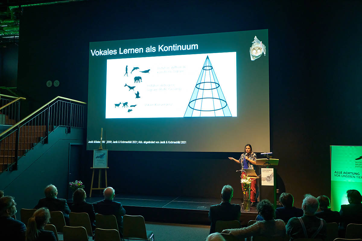 Forschungspreis Deutsche Wildtier Stiftung / Ahanda Fernandez