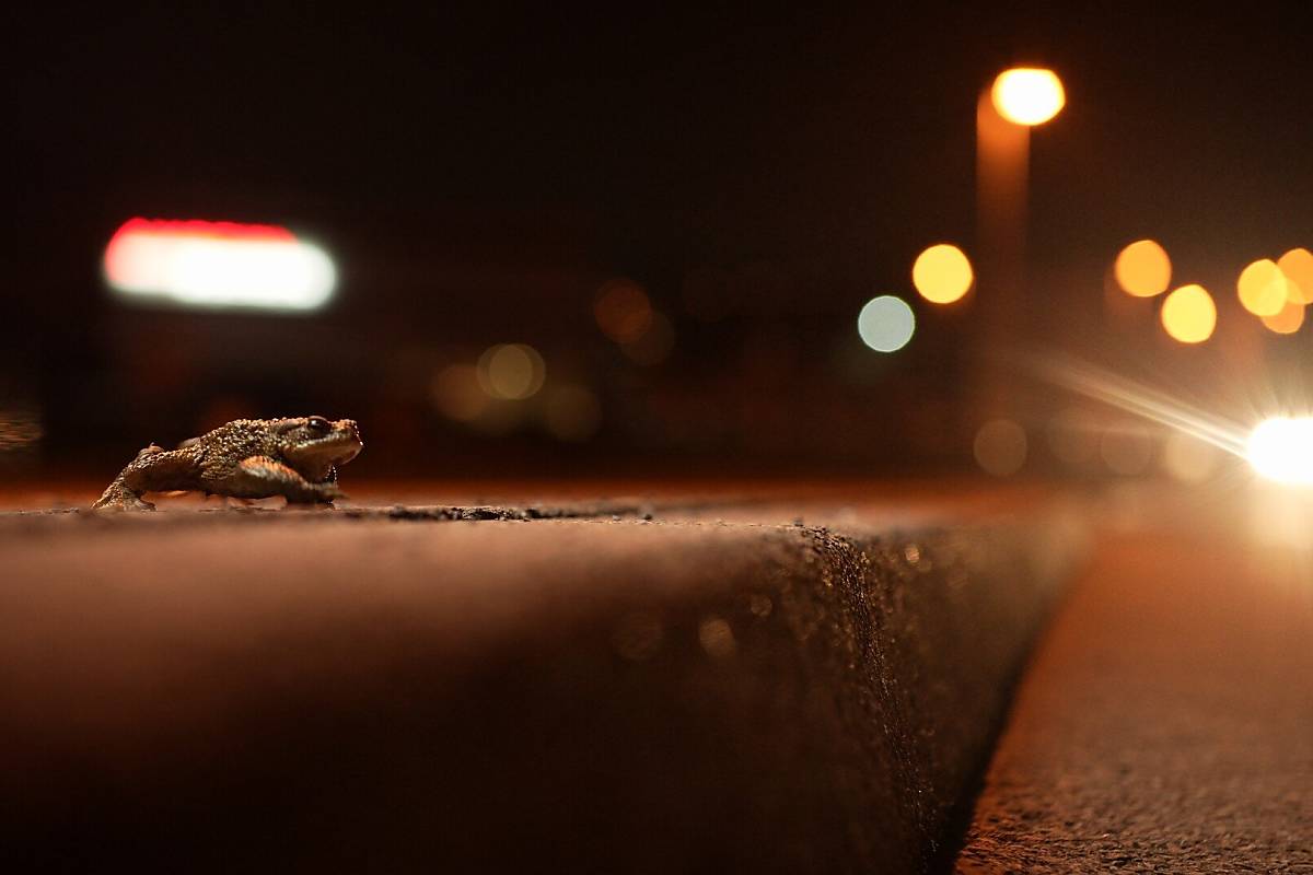 EWFA / Risky Routes, ein Film von Jonas Steiner