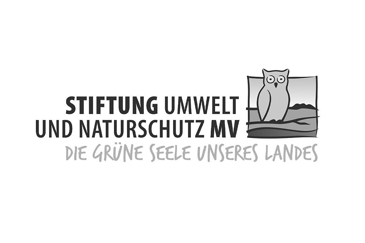 logo_stun_m-v_schwarz-weiss
