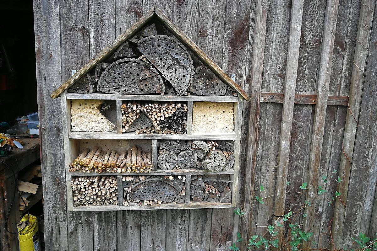 Wildbienenhotel