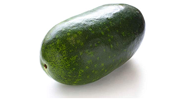 Ash Gourd