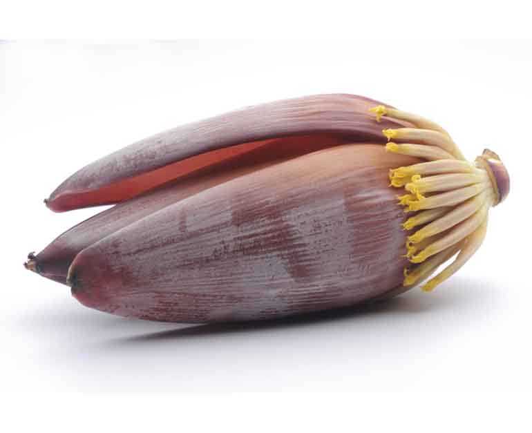 Banana Flower Gm