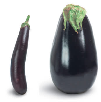 Brinjal Pcs