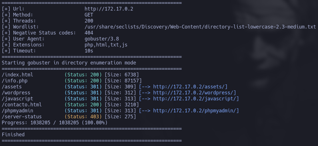 gobuster scan