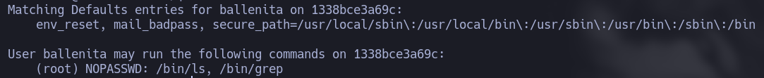ballenita sudo -l