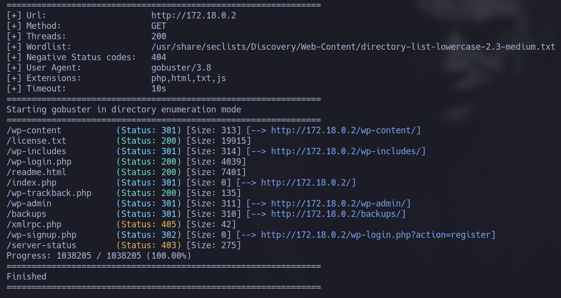 gobuster scan