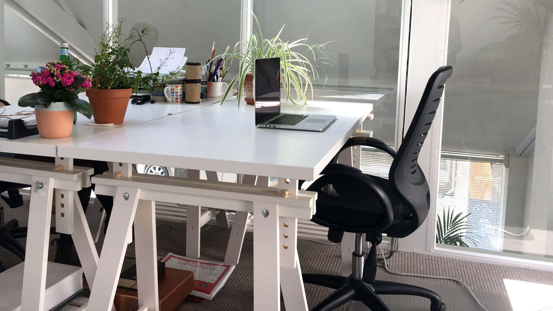 Senior Digital Project Manager Vacancy