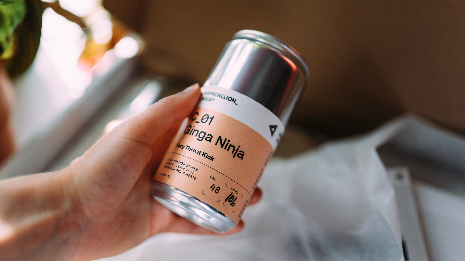 Rapscallion Soda Shopify Website Case Study