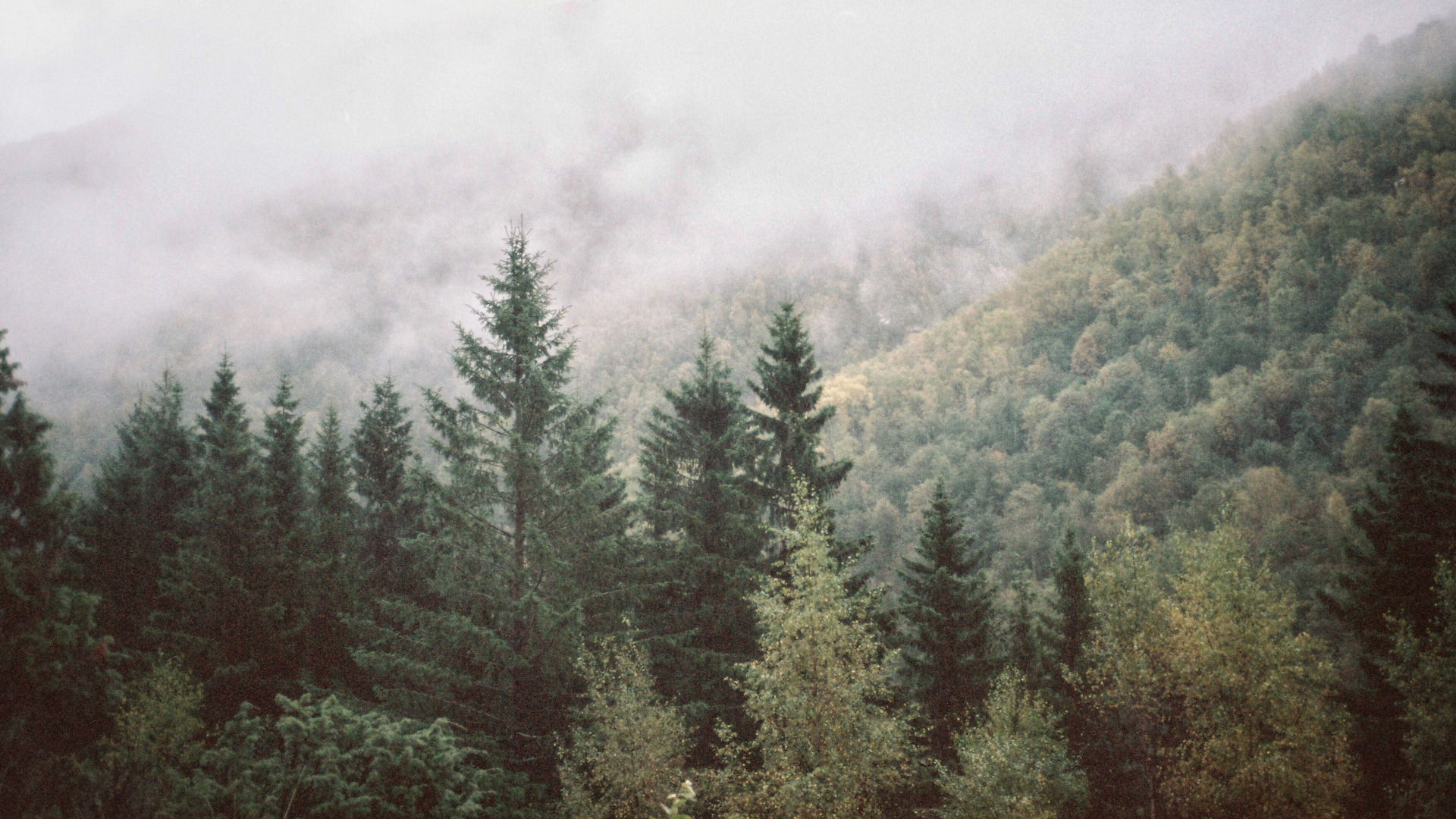 Cloudberry Living eCommerce Website Case Study