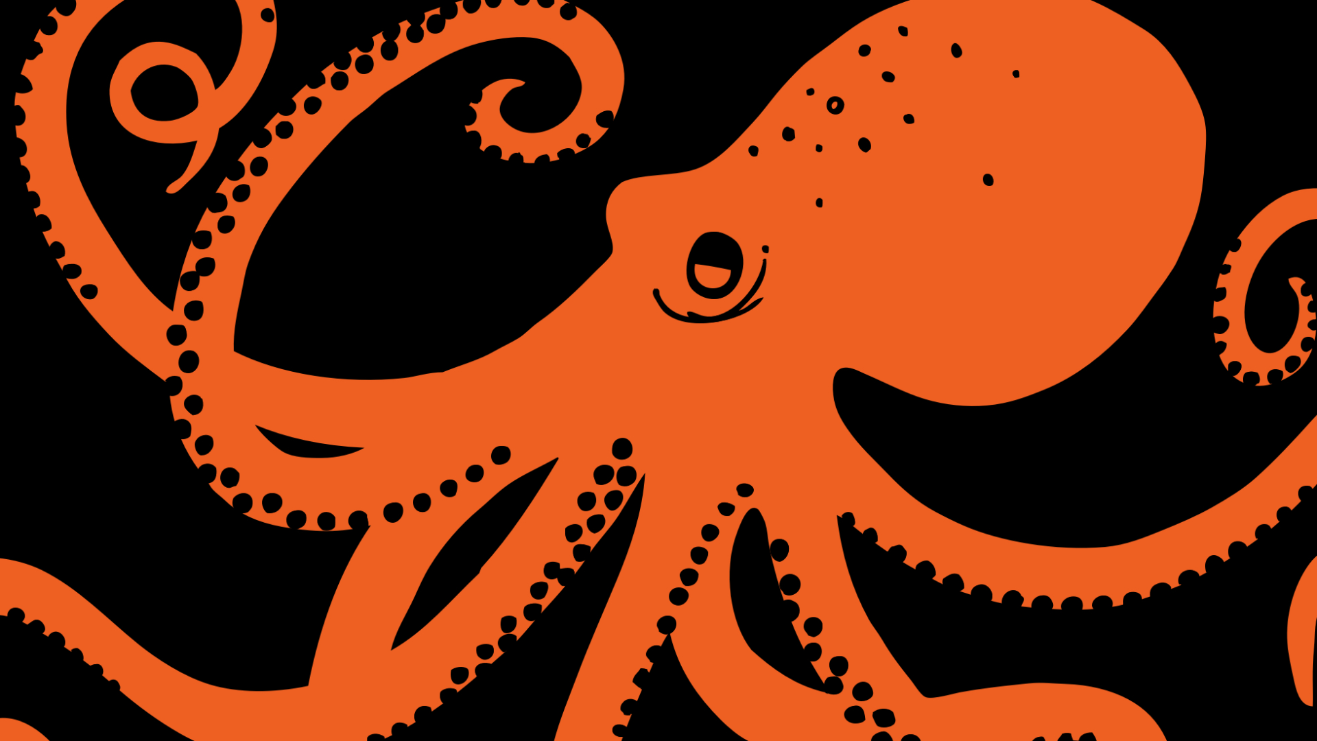 Your Shore Beach Rangers Case Study