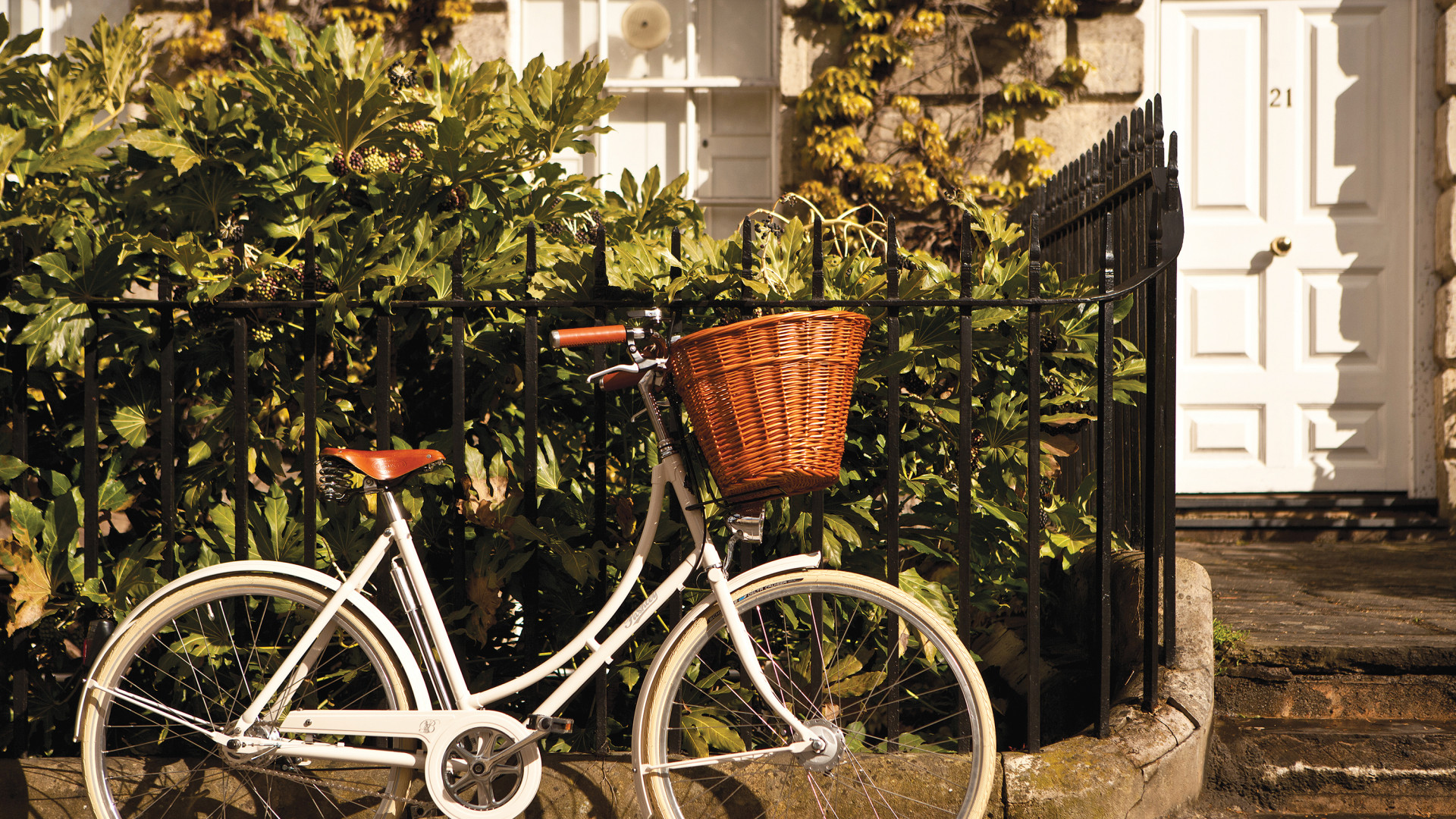 Pashley Cycles Bespoke Website Case Study