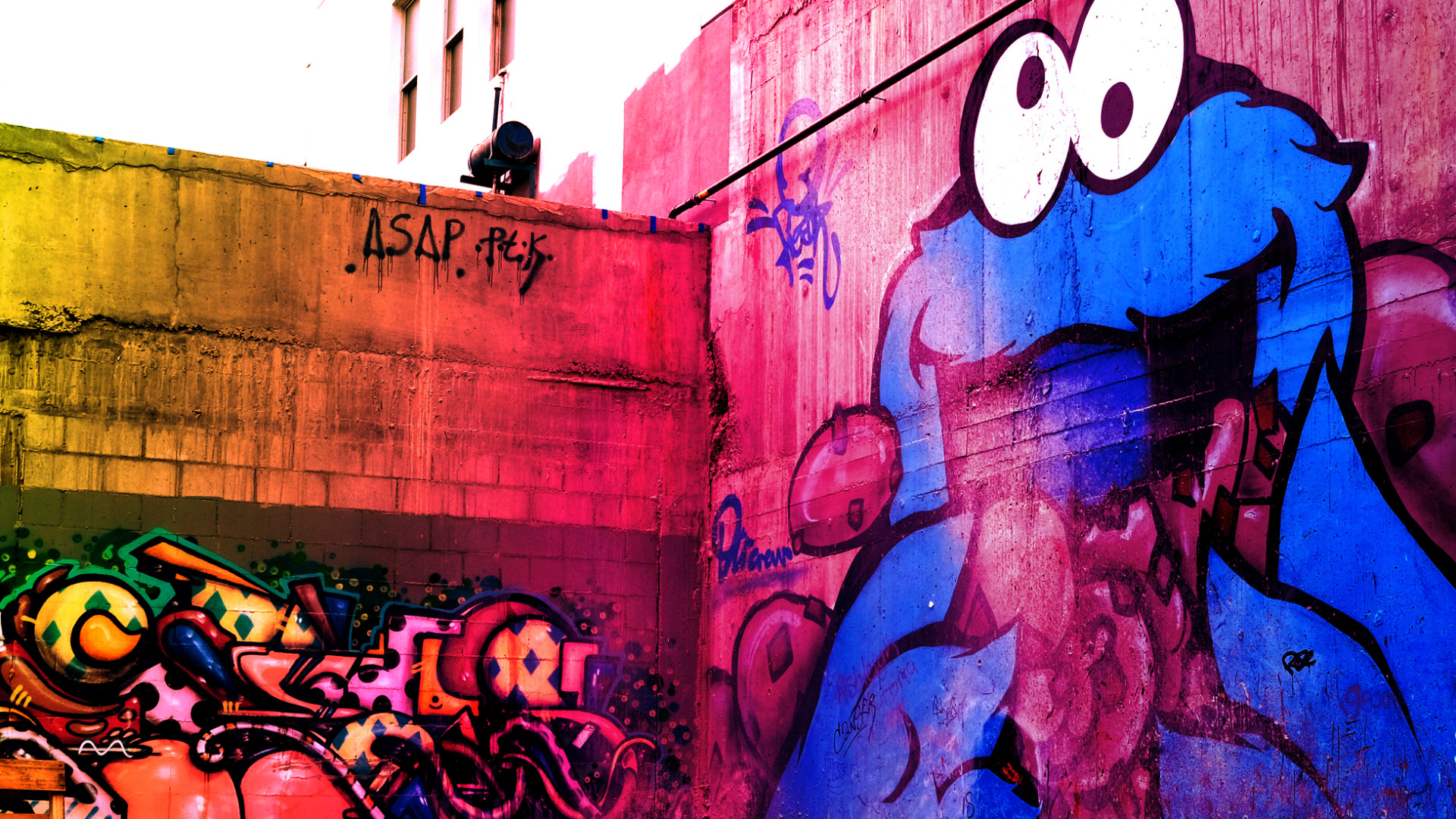 Curious Fish Case study